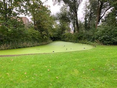 Foto 36 uit Herfst In Beverwaard