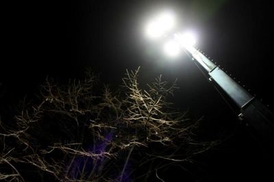 Foto 32 uit BruggenBeverwaard