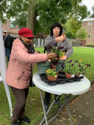 Foto 6 uit OpzoomerenPeeland