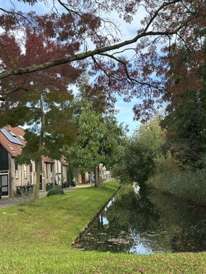 Foto 55 uit X-Herfst Verschillende jaren  2026