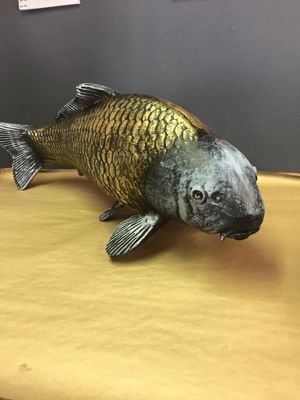 Foto 69 uit NeelyshaBloemen