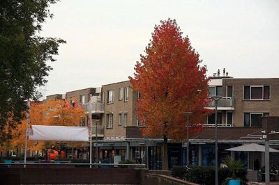 Foto 47 uit Herfst In Beverwaard