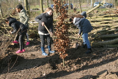 Foto 46 uit Boomplantdag16-3