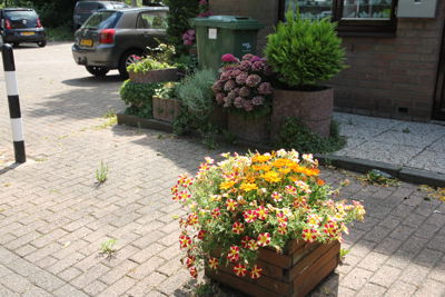 Foto 94 uit Herfst In Beverwaard