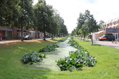 Foto 127 uit Herfst In Beverwaard