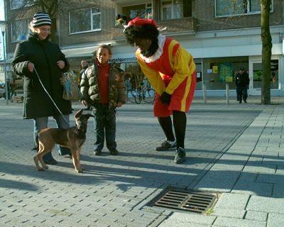 Foto 240 uit Sint kerstendijk