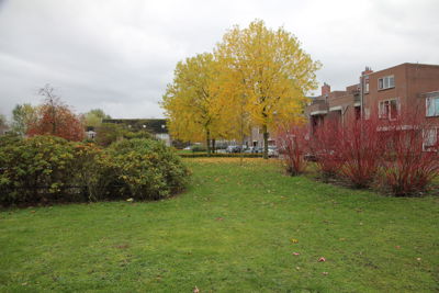 Foto 144 uit Herfst In Beverwaard