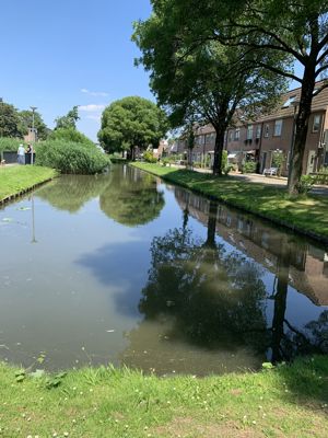 Foto 349 uit Rondje Beverwaard 2026