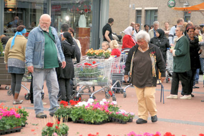 Foto 100 uit OpzoomerenPlantjes