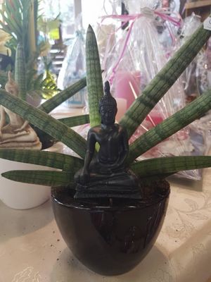 Foto 122 uit NeelyshaBloemen