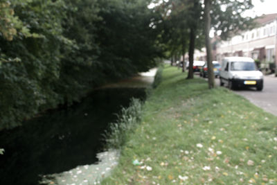 Foto 333 uit StratenBEVERWAARD