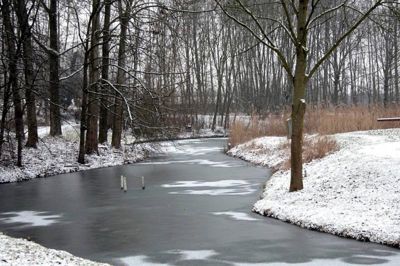 Foto 22 uit WinterIn Beverwaard