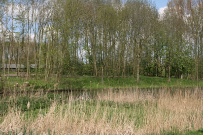 Foto 454 uit StratenBEVERWAARD