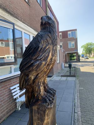 Foto 311 uit Rondje Beverwaard 2026