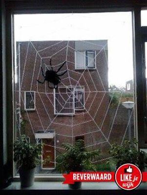 Foto 4 uit Halloween1-11-2014