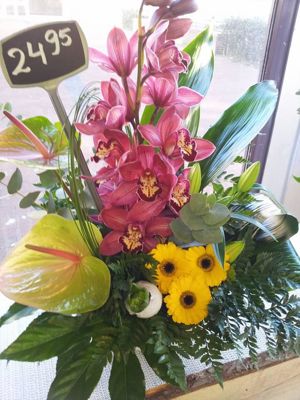 Foto 141 uit NeelyshaBloemen