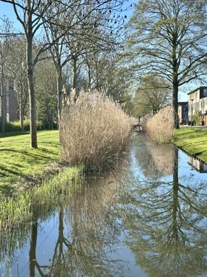 Foto 184 uit Rondje Beverwaard 2026