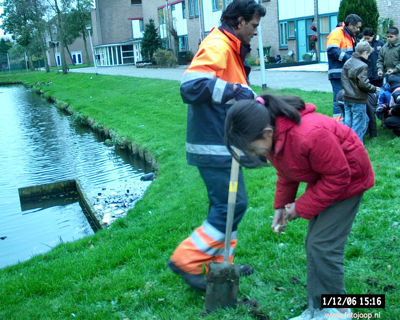 Foto 99 uit bloembollen planten