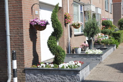 Foto 7 uit MooisUitBeverwaard