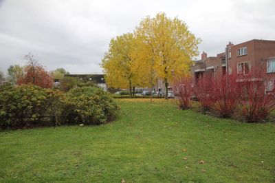 Foto 383 uit Rondje Beverwaard 2026