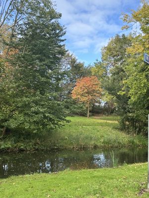 Foto 53 uit X-Herfst Verschillende jaren  2026