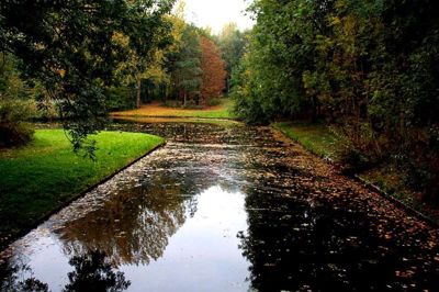 Foto 40 uit Herfst In Beverwaard