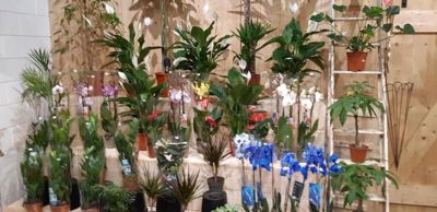 Foto 11 uit WorkShop Chantal