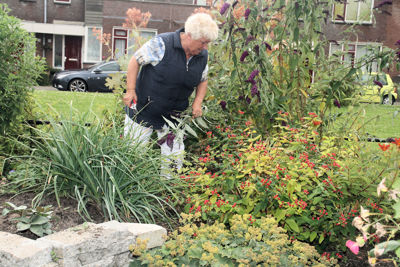 Foto 37 uit TropischeTuin16_07