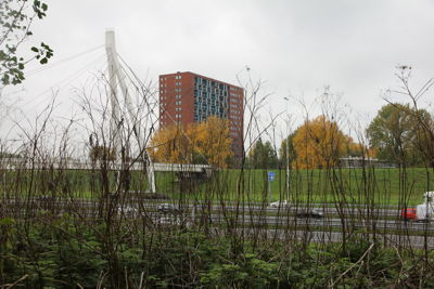 Foto 92 uit Herfst In Beverwaard