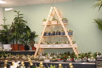 Foto 174 uit Intocht Kerstman