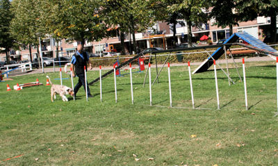 Foto 108 uit Wijkfeest12-09-2009