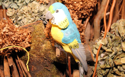 Foto 174 uit Workshops-Bloemen