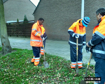 Foto 38 uit bloembollen planten