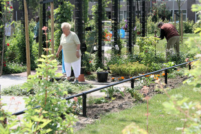 Foto 48 uit Tropische Tuin12_6