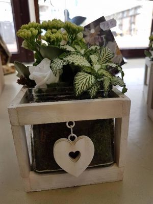 Foto 23 uit NeelyshaBloemen