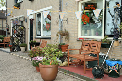 Foto 5 uit HalloweenStraten