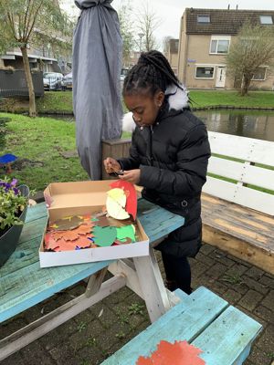 Foto 14 uit Kerstboom optuigen