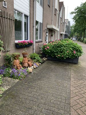 Foto 77 uit Rondje Beverwaard 2026