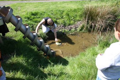 Foto 113 uit PasenStormpolder_2