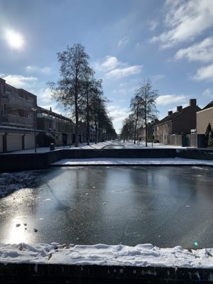 Foto 179 uit WinterIn Beverwaard