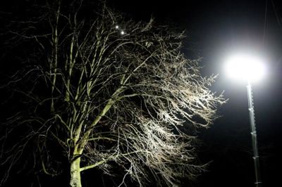 Foto 7 uit BruggenBeverwaard