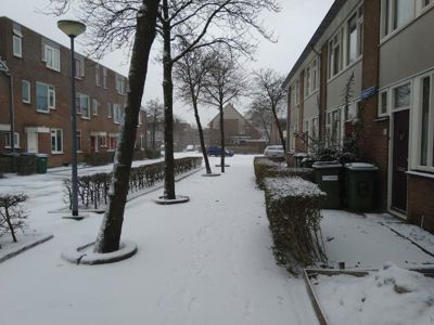 Foto 89 uit WinterIn Beverwaard