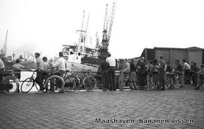 Foto 124 uit Oud Rotterdam Zuid