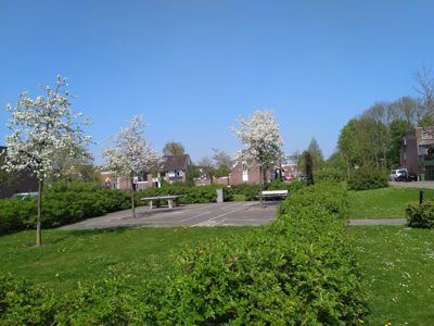 Foto 279 uit TropischeTuin 2017