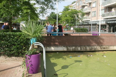 Foto 78 uit HippePlantenBakken