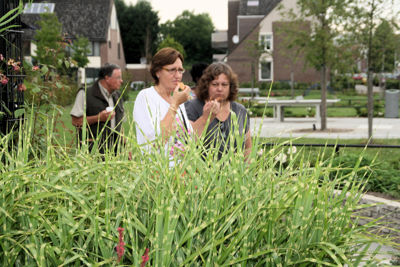 Foto 23 uit PicnicTropischeTuin