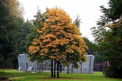 Foto 25 uit Herfst In Beverwaard