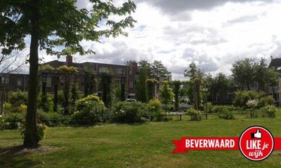 Foto 146 uit LIKEJEWIJK FOTO'S_3