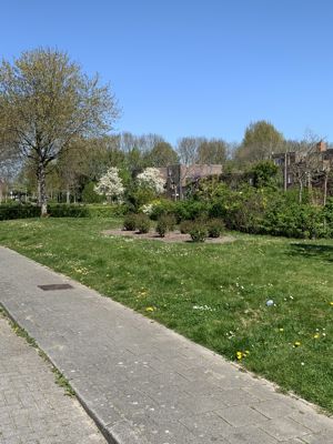 Foto 93 uit Rondje Beverwaard 2026