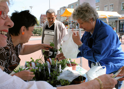 Foto 30 uit Tuin-Academie25-4_9